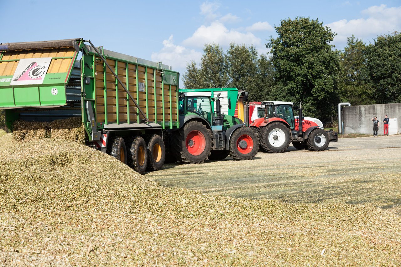 Bild 138 - Maisernte